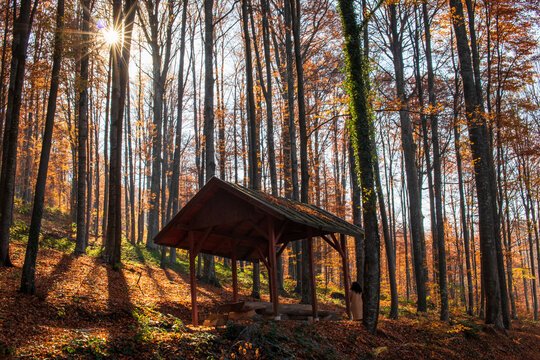 A hut with benches for resting in the forest in autumn on Mount Goc in Serbia.
