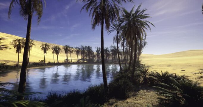 Secluded palmfringed oasis pool amid dunes, calm water, dense greenery, wildlife tracks along shore, biodiversity hotspot and natural refuge for fauna
