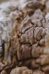 Fototapeta premium Texture of old soil under the influence of water of a soft sand color