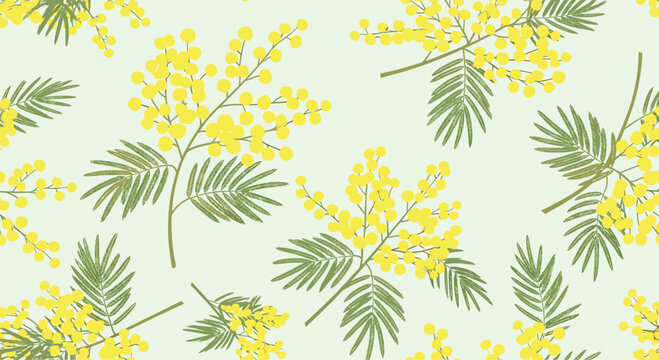 Seamless pattern of yellow mimosa flower branches with green leaves on a light mint background for spring designs.