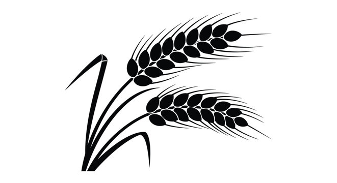 Black and white illustration of wheat stalks with full grain heads