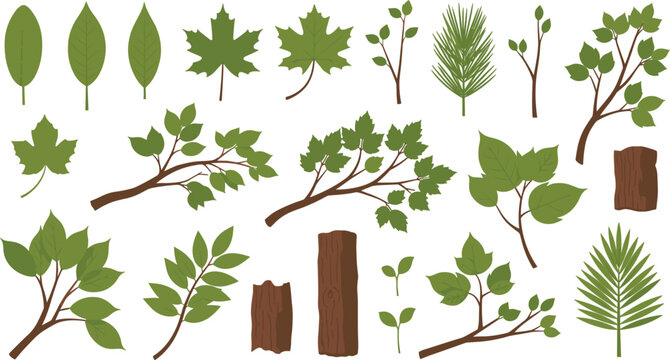 Tree Leaves Branches and Trunk Botanical Elements Vector Collection with Maple Oak Pine and Forest Foliage Parts for Nature Design Isolated on White Background.