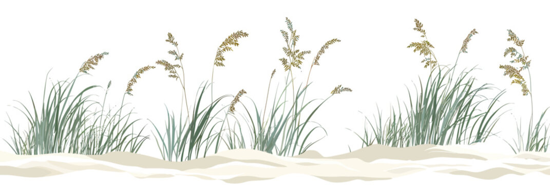 Coastal sea oats and beach grass with sandy dunes in flat minimalist vector illustration for environmental restoration and shoreline protection design