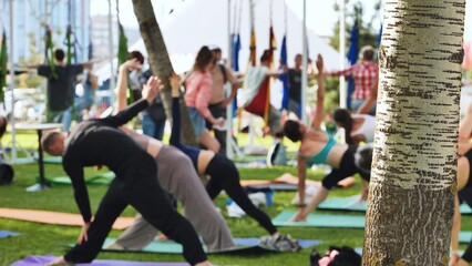 Fototapeta premium Group of people practicing yoga at India Day festival in Moscow park