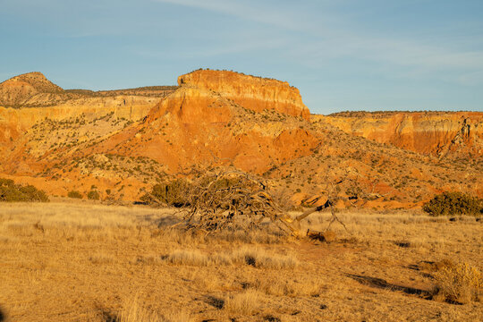 red rocks in the desert