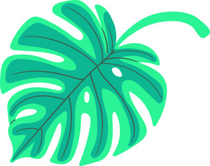 Monstera Leaf With Veins Botanical © Anna Syvak