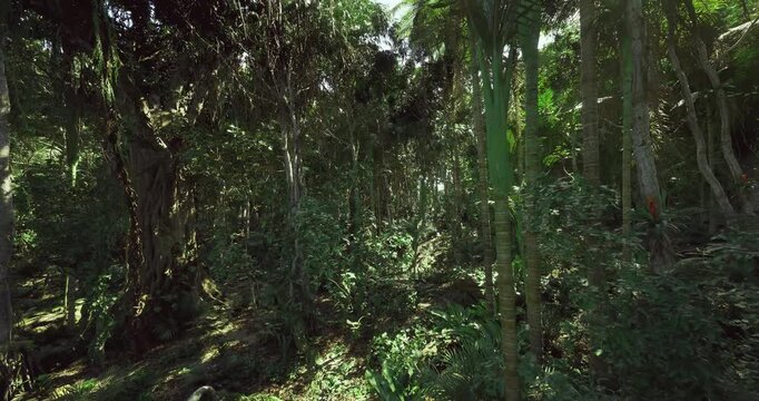 Massive tree trunk with hanging roots and thick textured bark, moss patches and fungi at base, sacred grove atmosphere, age and weathering visible, natural