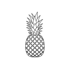 Obraz premium A simple black and white outline drawing of a whole pineapple fruit with its spiky crown of leaves.
