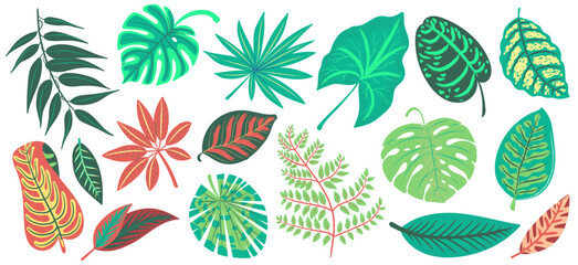 Leaf Handdrawn Leaves Botanical Set