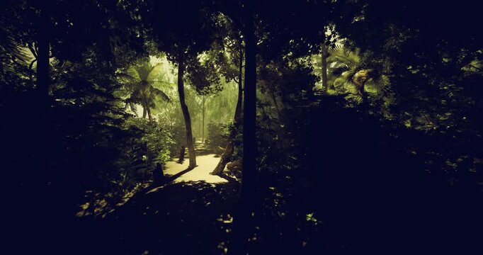 golden forest gateway bathed in warm glow with narrow path cutting through dense leaves atmospheric scene suggests quiet entrance to clearing and peaceful