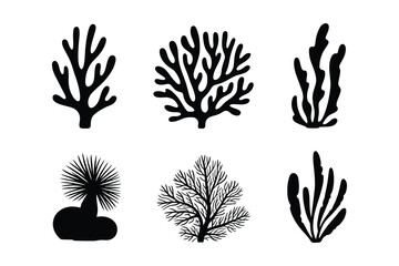 Ocean plant silhouettes © Sadek