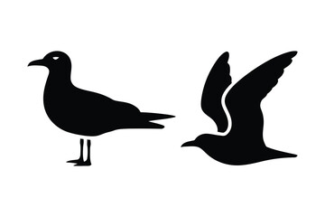 Obraz premium Seagull standing and flying silhouette illustration