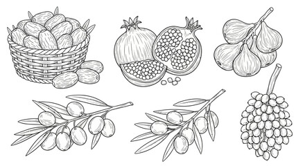 Fototapeta premium Sketches of assorted fruits and vegetables in a basket and branches.