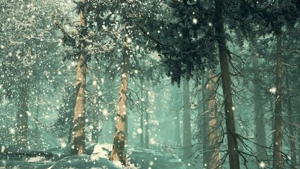 Soft snowflakes drift down through tall evergreen trees, creating a serene winter scene. The peaceful atmosphere invites quiet contemplation beneath the snowy canopy. © icetray