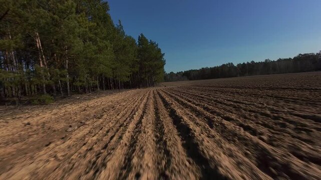 Aerial view of plowed agricultural field with pine forest border