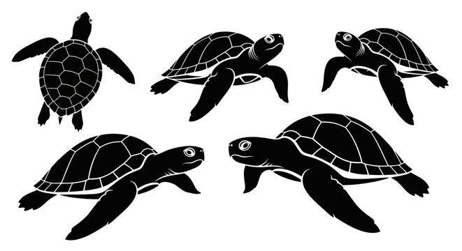 Set of Black Sea Turtle Silhouettes on White Background
