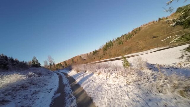 Aerial Low Angle Shot of Snowy Forest Edge with Pine rees and Logs in Winter