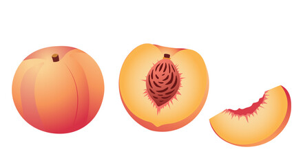 Fototapeta premium Whole peach, halved peach with pit, and a slice of peach on a white background