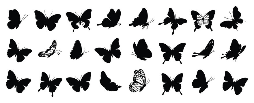 Butterfly Silhouette Vector Set with Moths and Flying Insects, Hand Drawn Black Wing Shapes in Different Styles, Minimal Insect Illustration Collection for Logo Design, Stickers, Icons and Y2K Cover 