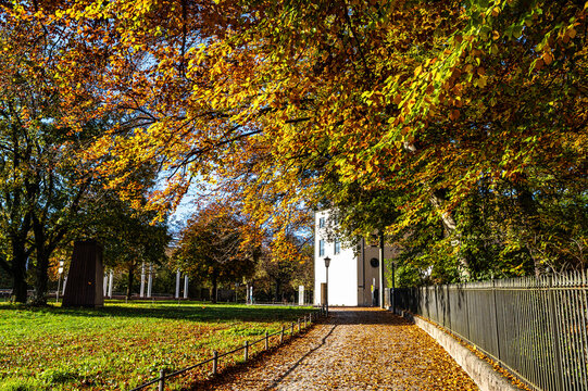 Golden autumn view in famous Munich relax place - Englischer Garten. Munich, Bavaria, Germany