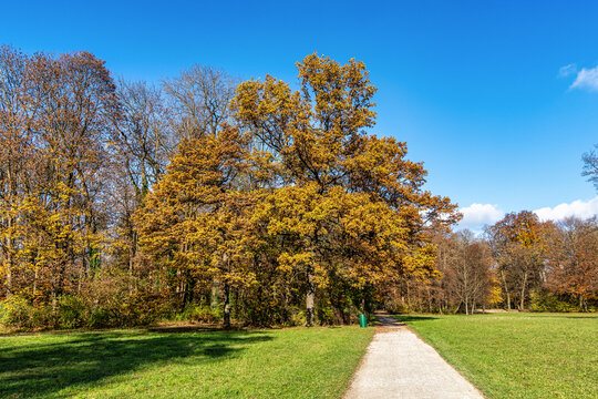 Golden autumn view in famous Munich relax place - Englischer Garten. Munich, Bavaria, Germany