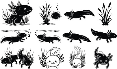 Axolotl illustrations, aquatic animals, cartoon amphibians, underwater plants, pufferfish drawing, black and white art, aquatic wildlife, creative amphibian sketches, aquatic diversity, unique species © Its Saidul 