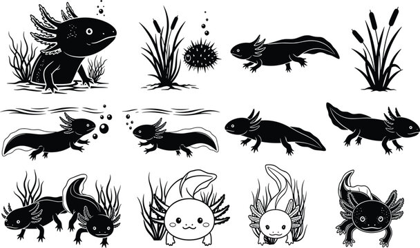 Axolotl illustrations, aquatic animals, cartoon amphibians, underwater plants, pufferfish drawing, black and white art, aquatic wildlife, creative amphibian sketches, aquatic diversity, unique species