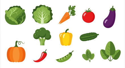 Fototapeta premium Vegetable assortment healthy food collection