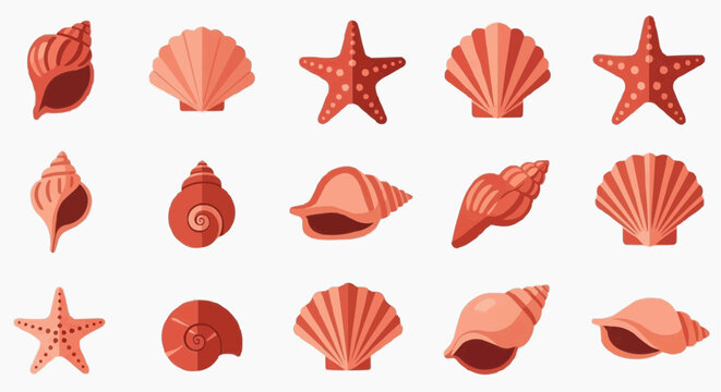 Collection of various coral-colored seashells and starfish, arranged for display. A harmonious blend of marine life captured in detail