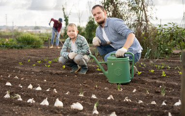 Fototapeta premium Man and his son plant garlic on a farm. Family of farmers cultivate the soil and plant seeds. Process of growing organically healthy vegetables