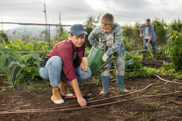 Fototapeta premium Woman and her son are planting seeds on a farm. Guy helps a female farmer plant seeds. Process of planting seeds in the ground