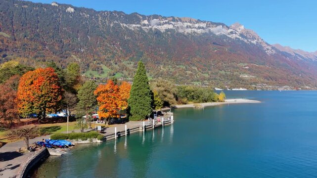 Lake Brienz autumn aerial landscape with turquoise water and forest. Interlaken, Canton of Bern, Switzerland.
