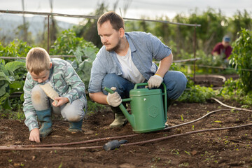 Fototapeta premium Farmer with son plant semen in cultivated land. Process of growing organically healthy vegetables and herbs on the farm. Season for planting seeds in the garden