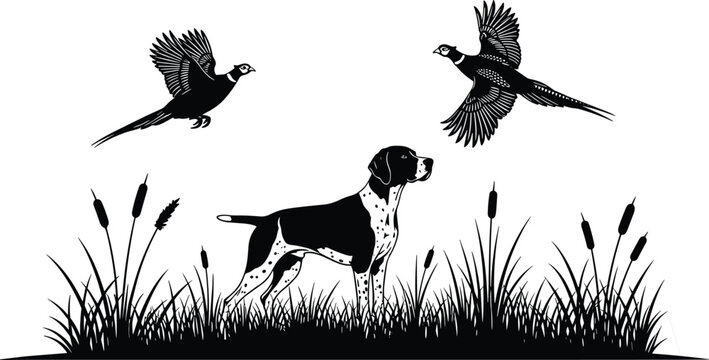 Hunting dog with flying pheasant birds silhouette scene, hunting landscape illustration with grass and reeds, wildlife hunting concept isolated on white background