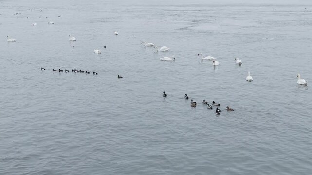 General views of the streets of Stockholm, the capital of Sweden, in February 2026, including Gamla stan, ostermalm, Sodermalm, museums, iconic buildings, animals, and urban architecture.