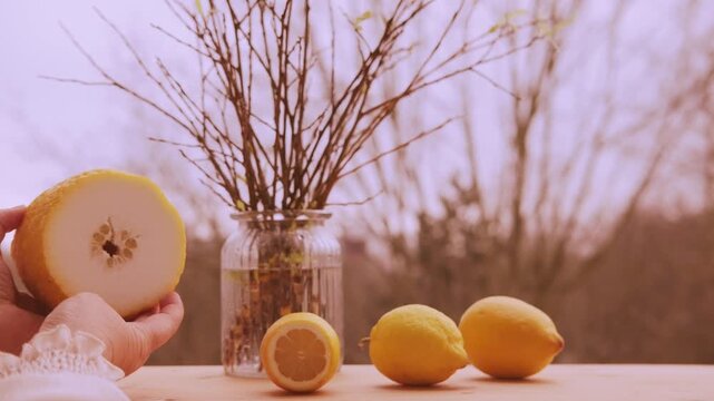 Fresh citron fruit with thick textured peel, Exotic yellow cedrat Citrus medica, natural organic citrus ingredient Mediterranean cuisine, Natural vitamin rich fruit with minimal pulp