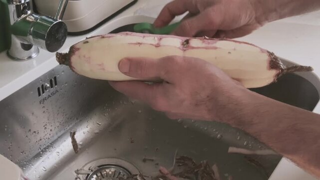 Male hands peeling cassava root also called manioc or yuca, Manihot preparing tropical tuber for cooking, fresh Manihot esculenta from farm harvest, traditional food ingredient in many world cuisines