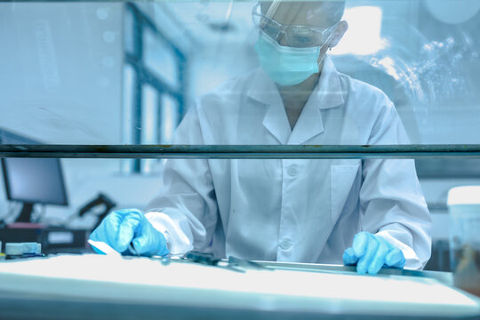 Medical pathologist performing gross examination of tissue biopsy. Scientist in safety hood cutting surgical specimen for cancer diagnosis in sterile lab.
