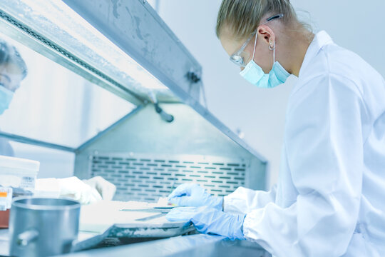 Medical pathologist working in biosafety cabinet preparing tissue biopsy. Female scientist in protective gear handling specimen container in sterile lab hood.