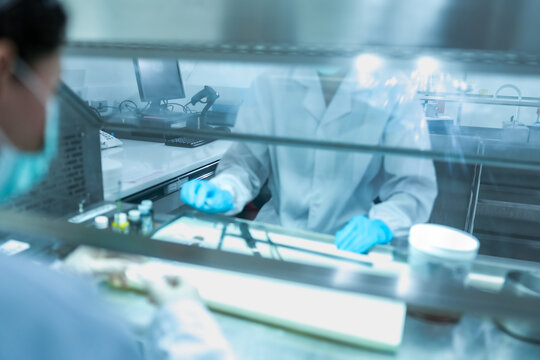 Lab technician working behind glass sash of fume hood for safety. Scientist in blue gloves managing chemical experiment in ventilated biosafety cabinet securely.