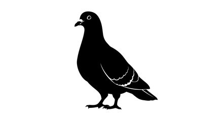 Obraz premium Silhouette of a pigeon standing against a white background