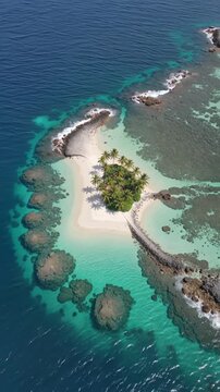 Aerial view of tropical island paradise with palm trees