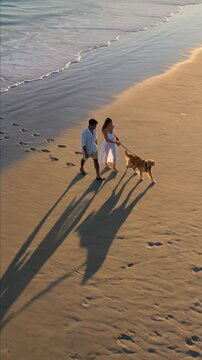Aerial view of young couple walking a golden retriever dog on the beach at sunset