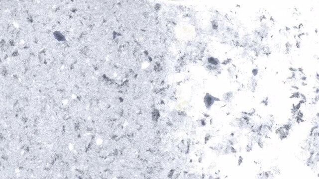 Close-up texture of granite with pink and gray flecks.