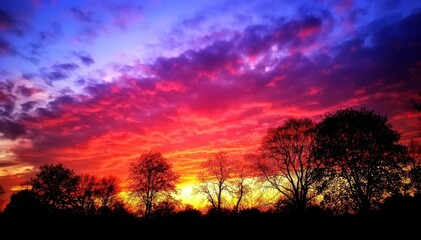 Obraz premium Radiant Sunset Silhouette: The silhouette of trees against a backdrop of a vivid, fiery sunset, painting the sky with a mesmerizing blend of colors that evoke a sense of awe and serenity. 