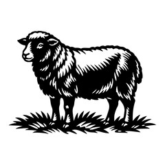 Obraz premium A detailed black and white illustration depicts a sheep standing in a grassy field