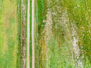 Overhead aerial view of rural dirt track between pastures and flower meadow: biodiversity and sustainable agriculture in the primary sector. © Ivanb