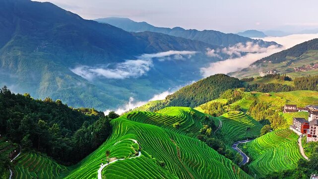 Aerial view of the spectacular Longji Rice Terraces and village landscape with morning fog in Guilin, China.