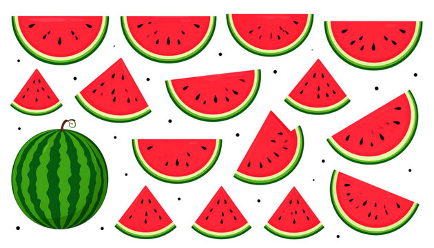 Collection of fresh ripe watermelon slices and one whole watermelon with green striped rind Vector