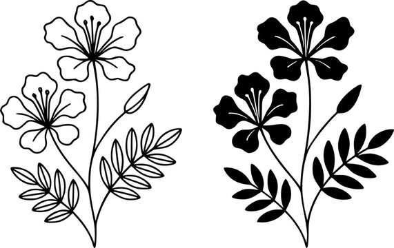Flamboyan illustration icon, outline and silhouette, for plant or flower design